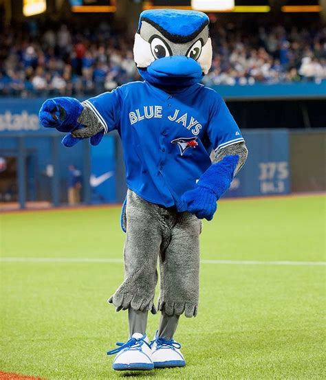 Capturing the Spirit: The Art and Science of Big Blue Jay Mascot Performances